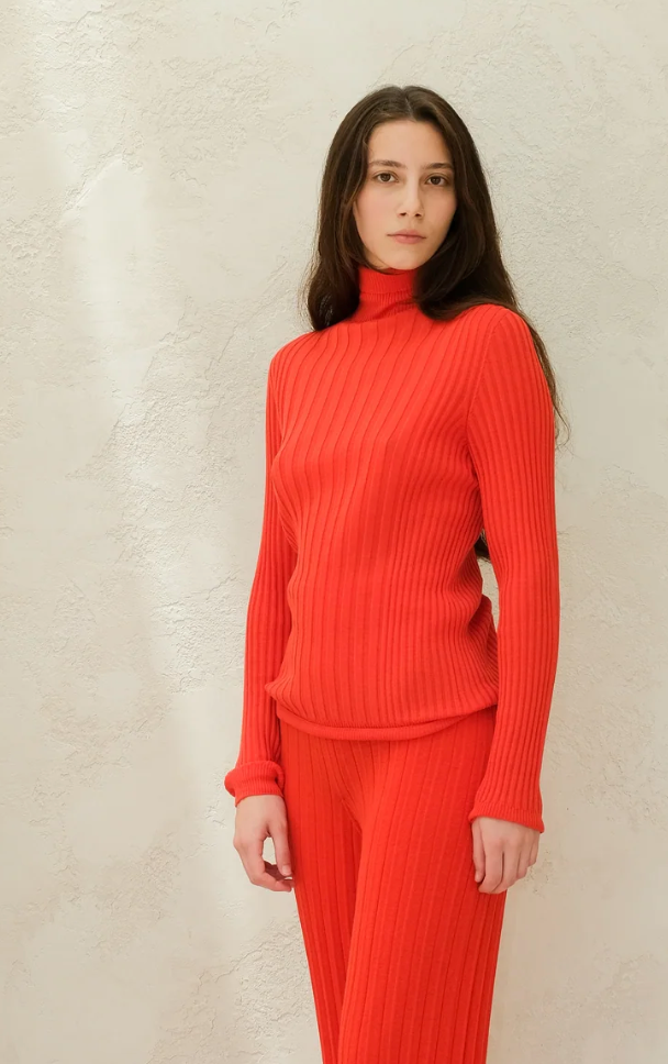 Extra Fine Merino Wool Ribbed Turtle Neck