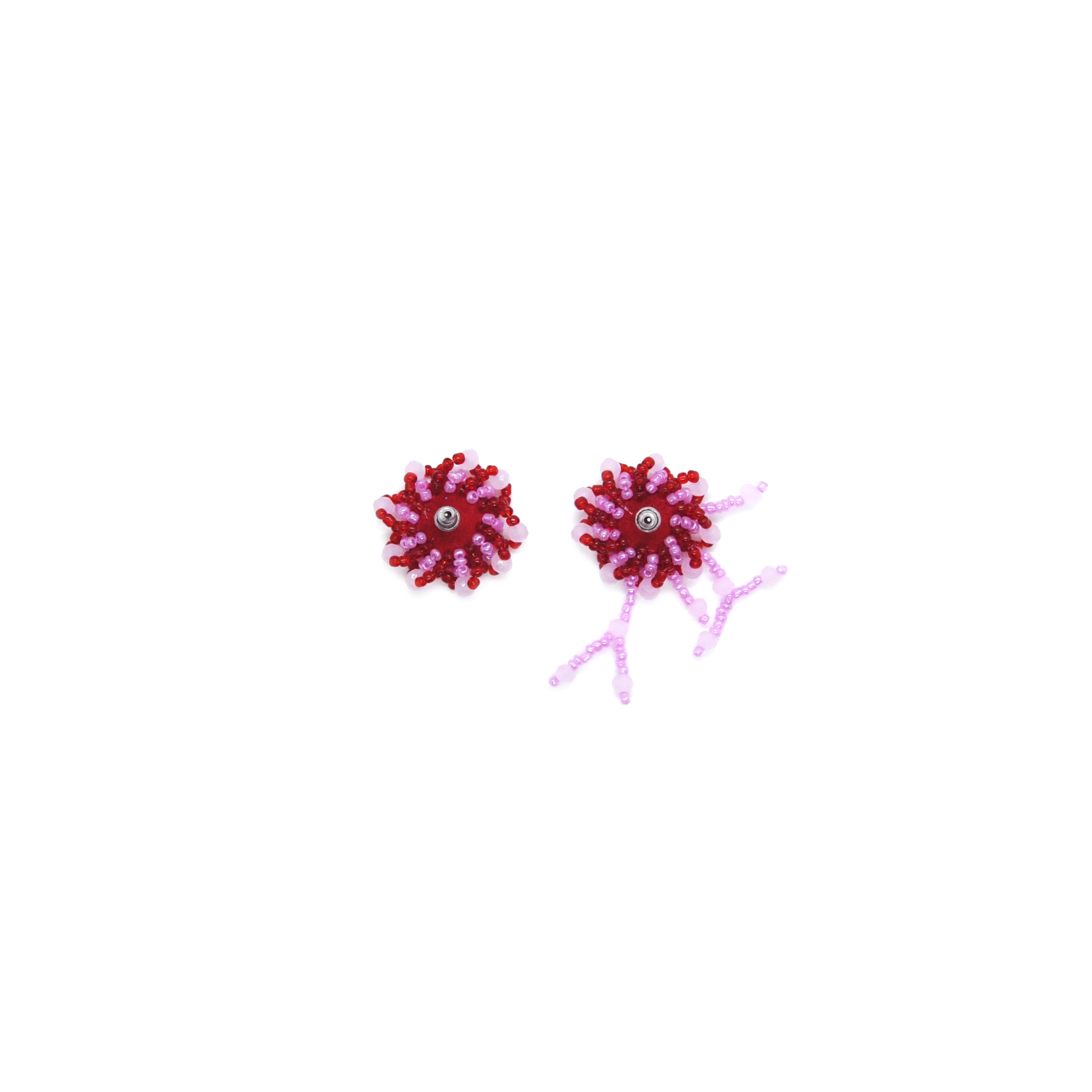 Anemone Rosso Rosa
