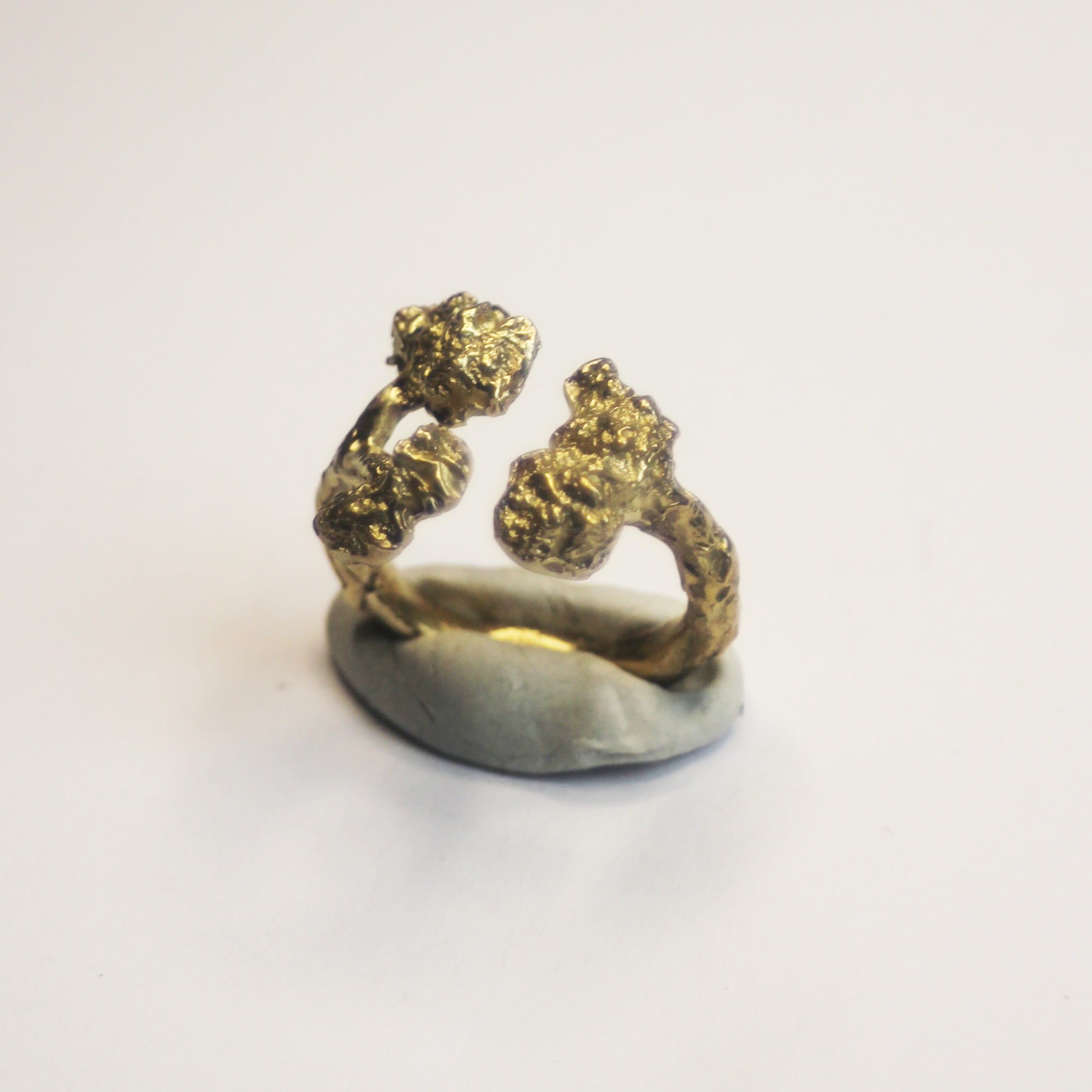 Small Bough ring - Brass